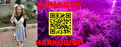 прущие грибы Абинск