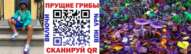 Галлюциногенные грибы мицелий  сколько стоит  Ейск 