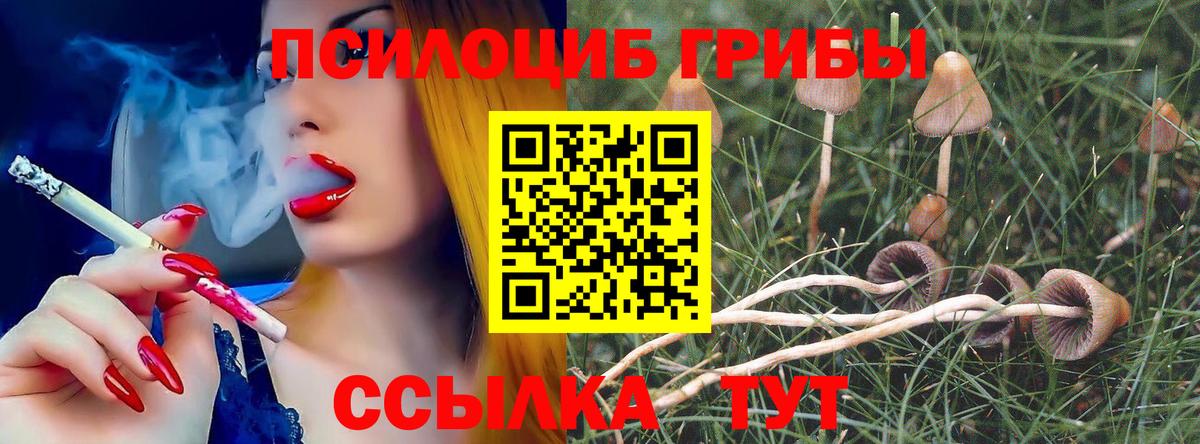 Ейск  где найти   Вход с VPN  Псилоцибиновые грибы MAGIC MUSHROOMS 
