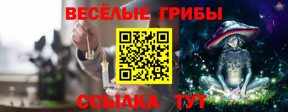 Галлюциногенные грибы мицелий  где купить наркоту  Ейск 